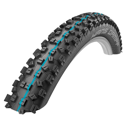 Dampf, Tire, 24x2.35, Folding, Tubeless Ready, Addix Performance, TwinSkin, 67TPI, Black