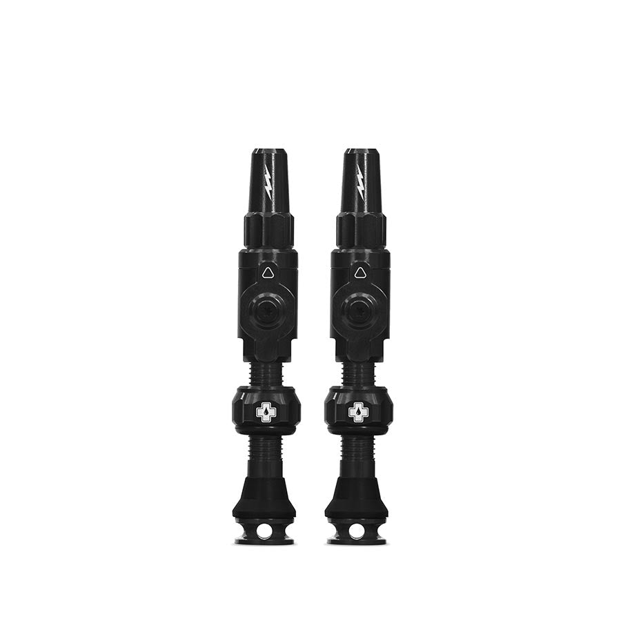 Medium, Tubeless Valve, Presta, 35mm, Black, Pair