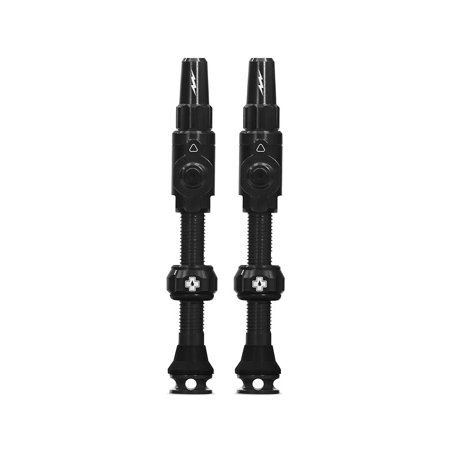 Large, Tubeless Valve, Presta, 45mm, Black, Pair