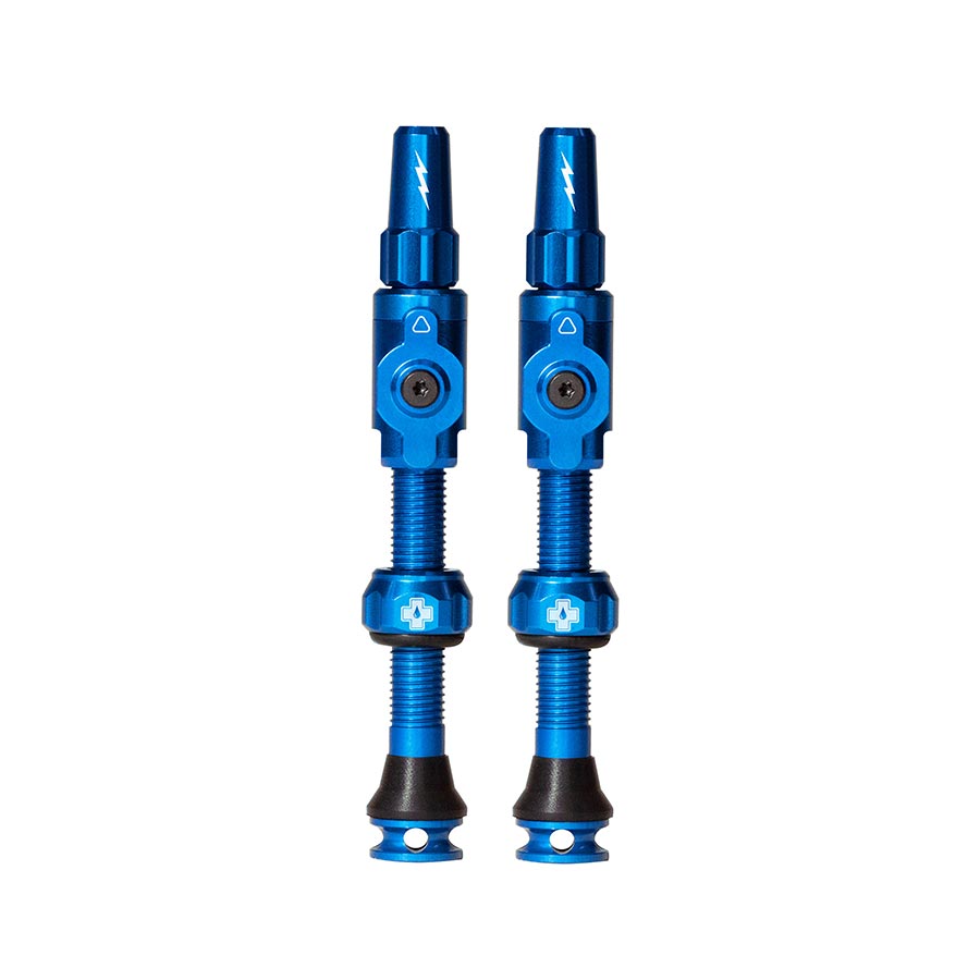 Large, Tubeless Valve, Presta, 45mm, Blue, Pair