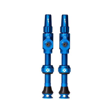 Large, Tubeless Valve, Presta, 45mm, Blue, Pair